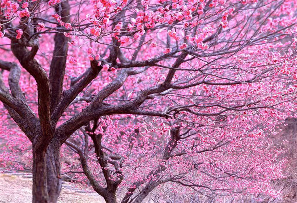 星旺房车15572204376